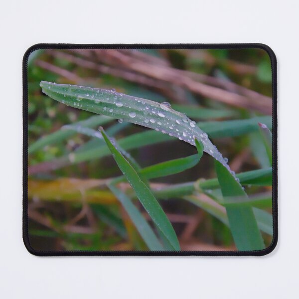 Item preview, Dewdrops on Grass Blade – Fresh Nature Macro designed and sold by ShotsbyDesiree.