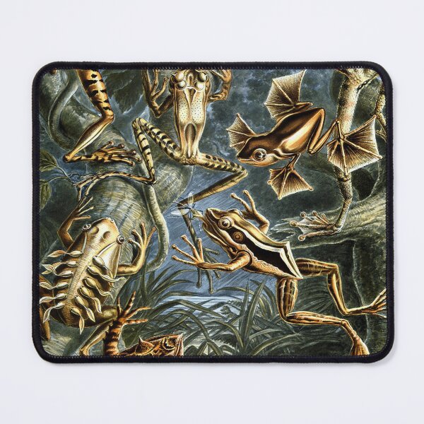 Item preview, Plate 69: Batrachia 1899— designed and sold by Gilmour-Prints.