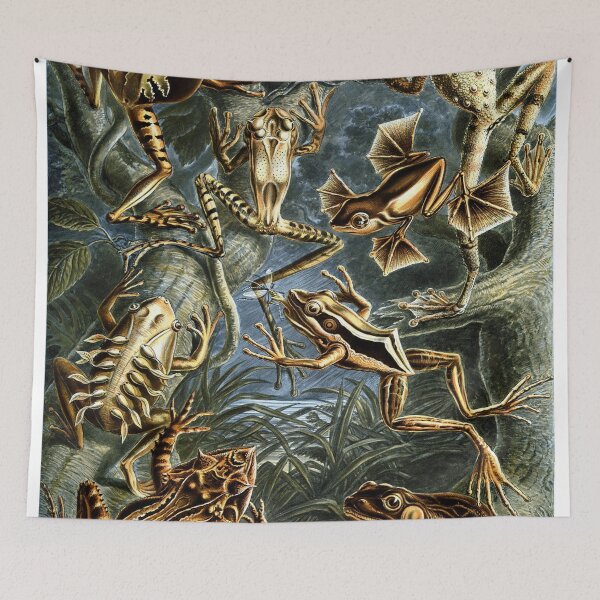Item preview, Plate 69: Batrachia 1899— designed and sold by Gilmour-Prints.