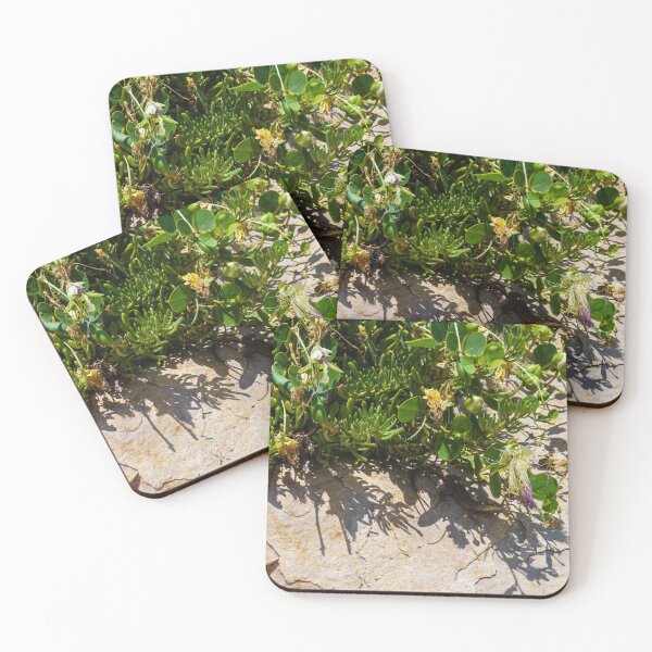 Item preview, Small Lizard Sunbathing Among Coastal Succulents on a Sunlit Rocky Surface designed and sold by Nmallia.