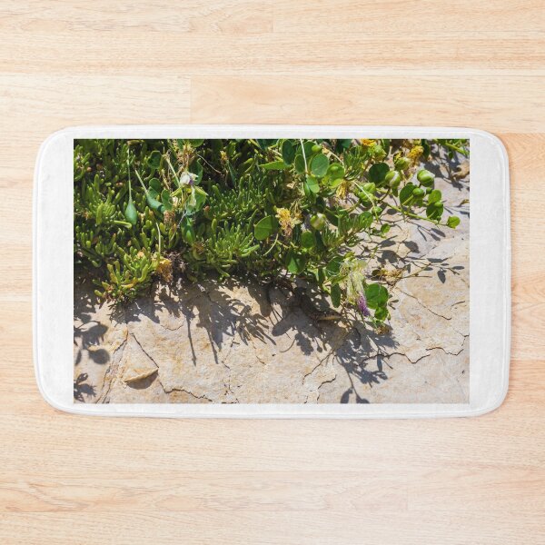 Item preview, Small Lizard Sunbathing Among Coastal Succulents on a Sunlit Rocky Surface designed and sold by Nmallia.
