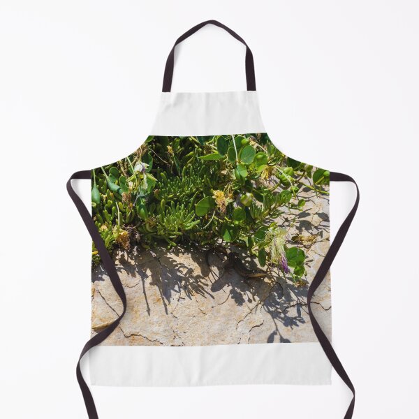 Item preview, Small Lizard Sunbathing Among Coastal Succulents on a Sunlit Rocky Surface designed and sold by Nmallia.