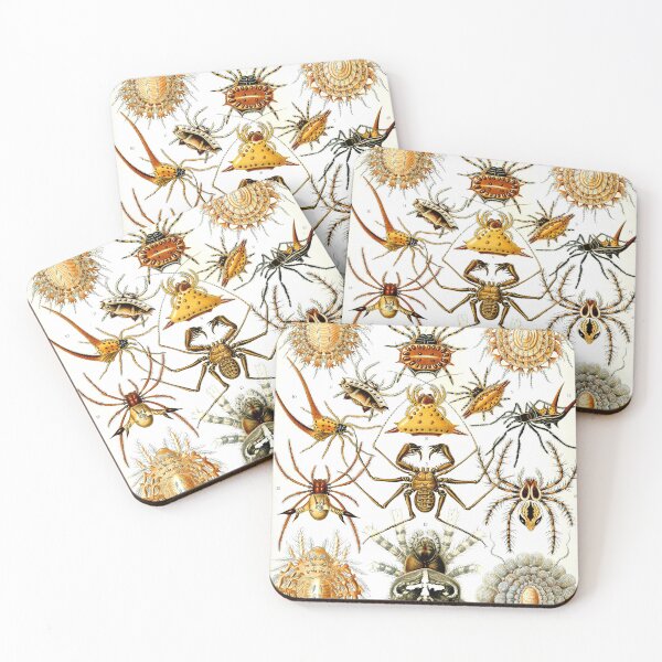 Item preview, Ernst Haeckel Arachnida 1899 designed and sold by Gilmour-Prints.