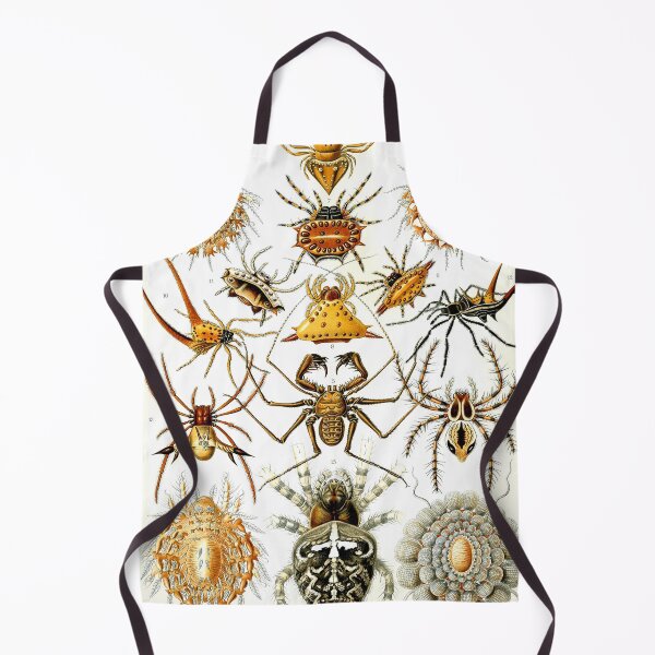 Item preview, Ernst Haeckel Arachnida 1899 designed and sold by Gilmour-Prints.