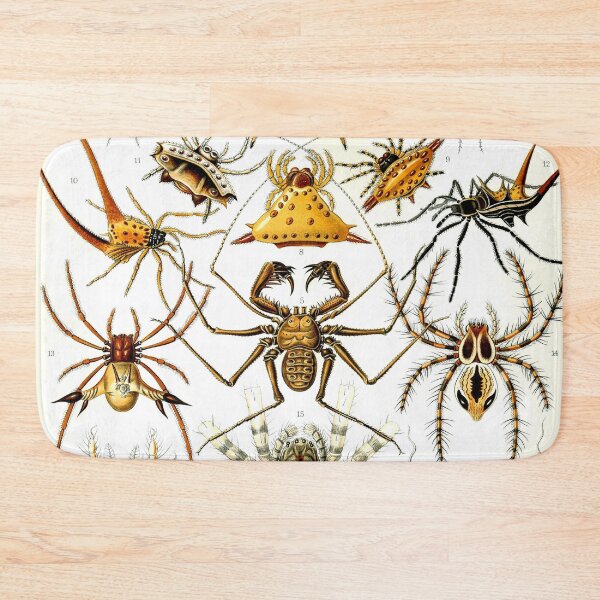 Item preview, Ernst Haeckel Arachnida 1899 designed and sold by Gilmour-Prints.