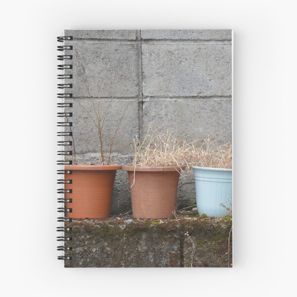 Item preview, Row of Dried Potted Plants Against Wall designed and sold by MiraNadaPrints.
