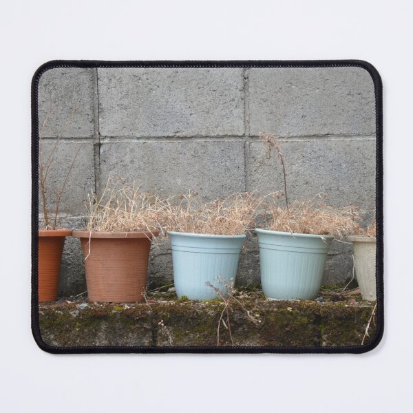 Item preview, Row of Dried Potted Plants Against Wall designed and sold by MiraNadaPrints.
