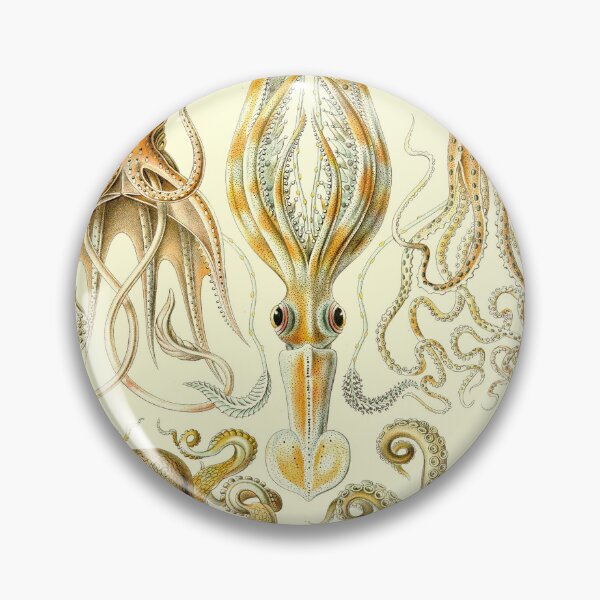 Item preview, Plate 55: Gamochonia 1899—— designed and sold by Gilmour-Prints.