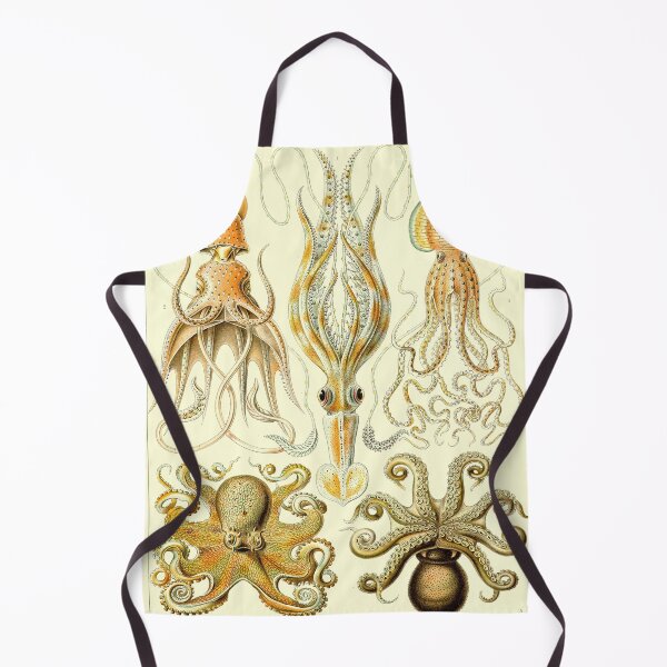 Item preview, Plate 55: Gamochonia 1899—— designed and sold by Gilmour-Prints.