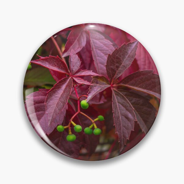 Item preview, Secrets of the Wild Red Vine designed and sold by MariaAbaza.