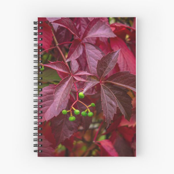 Item preview, Secrets of the Wild Red Vine designed and sold by MariaAbaza.