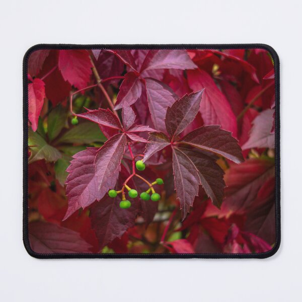 Item preview, Secrets of the Wild Red Vine designed and sold by MariaAbaza.