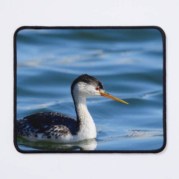 Item preview, The Silent Passage designed and sold by Mr. Wright Photography.