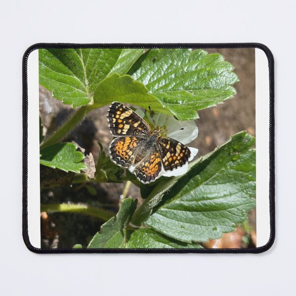Item preview, Butterfly on a Strawberry Plant designed and sold by BeachBumFamily.