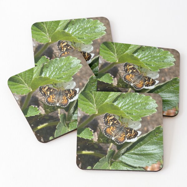 Item preview, Butterfly on a Strawberry Plant designed and sold by BeachBumFamily.