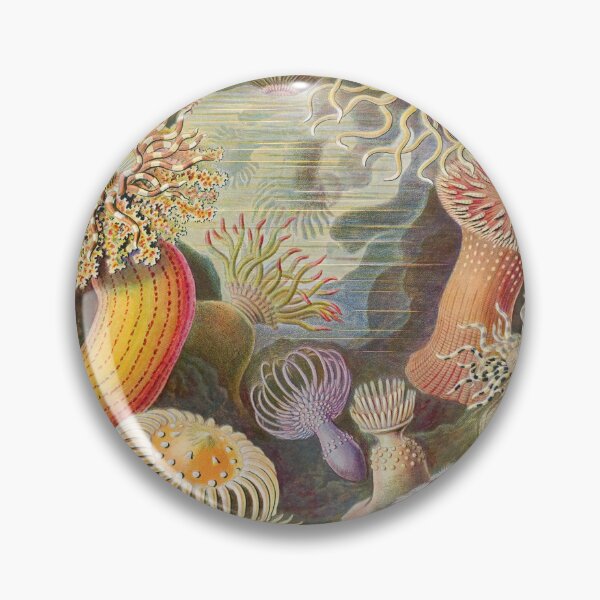 Item preview, Ernst Haeckel Actiniae 1899 designed and sold by Gilmour-Prints.
