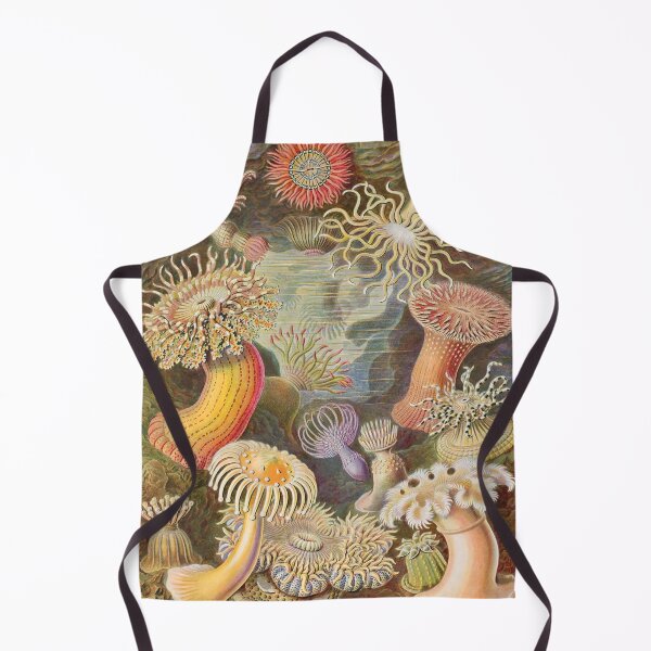 Item preview, Ernst Haeckel Actiniae 1899 designed and sold by Gilmour-Prints.