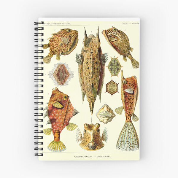 Item preview, Plate 43: Ostraciontes 1899 designed and sold by Gilmour-Prints.