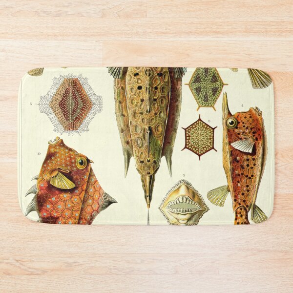 Item preview, Plate 43: Ostraciontes 1899 designed and sold by Gilmour-Prints.