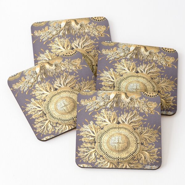 Item preview, Plate 29: Discomedusae 1899 designed and sold by Gilmour-Prints.