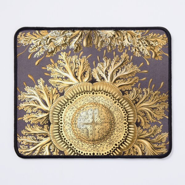 Item preview, Plate 29: Discomedusae 1899 designed and sold by Gilmour-Prints.