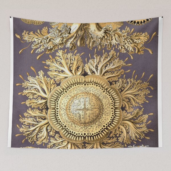 Item preview, Plate 29: Discomedusae 1899 designed and sold by Gilmour-Prints.