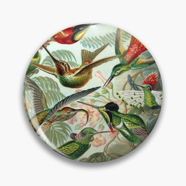 Item preview, Ernst Haeckel Trochilidae 1899 designed and sold by Gilmour-Prints.