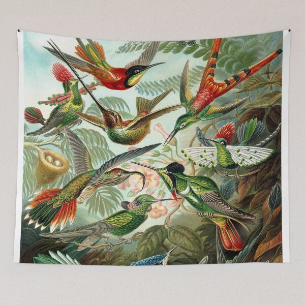 Item preview, Ernst Haeckel Trochilidae 1899 designed and sold by Gilmour-Prints.