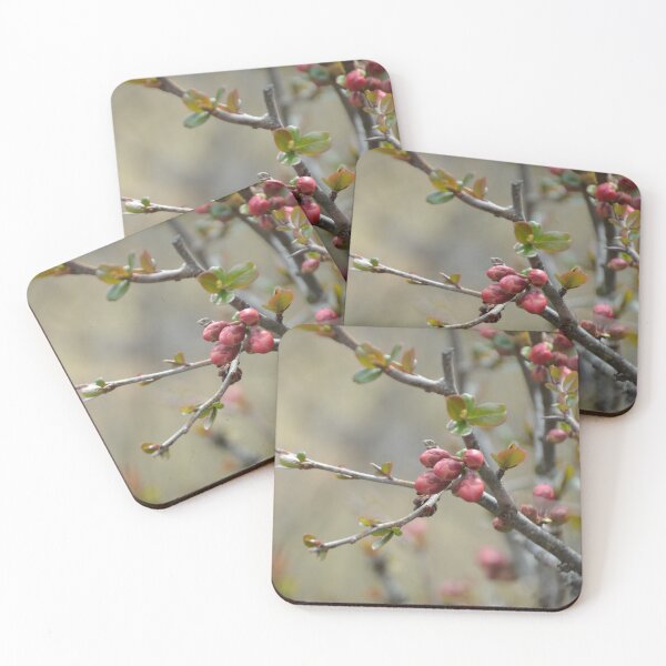 Item preview, Spring Flower Buds on Slender Wood Branches designed and sold by MiraNadaPrints.