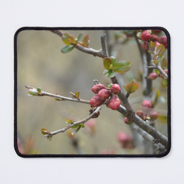 Item preview, Spring Flower Buds on Slender Wood Branches designed and sold by MiraNadaPrints.