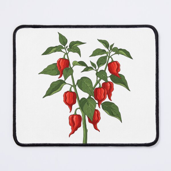 Item preview, Vintage Carolina Reaper Botanical Illustration designed and sold by @Reikiama.