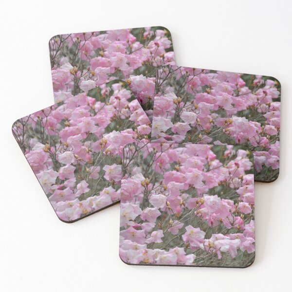 Item preview, Soft Pink Rhododendron Blossoms in Spring Sunshine designed and sold by MiraNadaPrints.