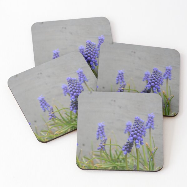 Item preview, Grape Hyacinths Against Minimalist Concrete Wall designed and sold by MiraNadaPrints.