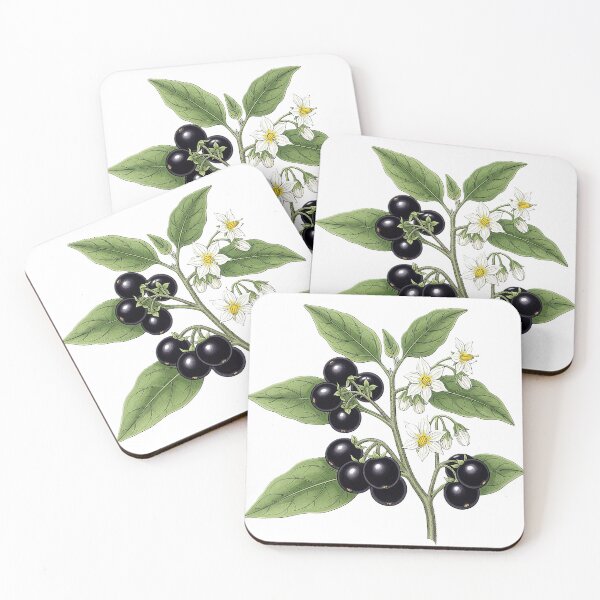 Item preview,  uma planta de garden huckleberry em um estilo clássico de gravura  designed and sold by @Reikiama.