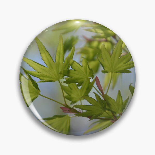Item preview, Luminous Green Japanese Maple Leaves in Spring designed and sold by MiraNadaPrints.