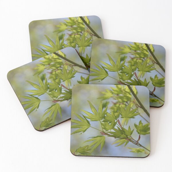 Item preview, Luminous Green Japanese Maple Leaves in Spring designed and sold by MiraNadaPrints.