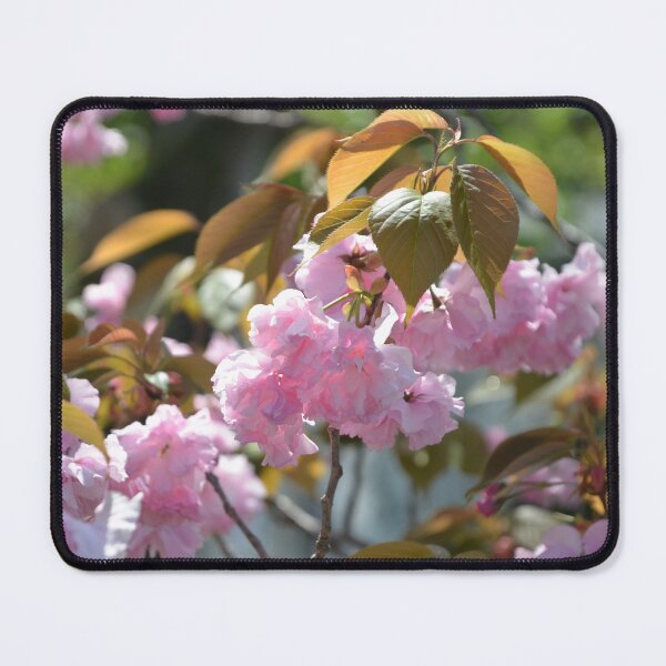 Item preview, Double Flowering Pink Cherry Blossoms with Leaves designed and sold by MiraNadaPrints.