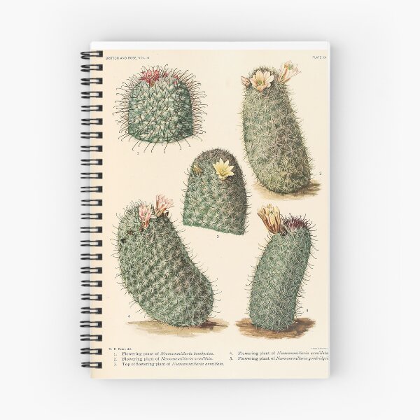 Item preview, The Cactaceae Vol. 4 1919 designed and sold by Gilmour-Prints.