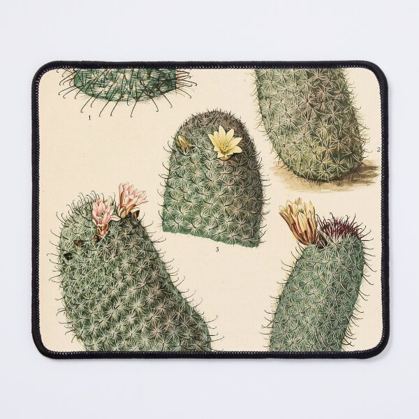 Item preview, The Cactaceae Vol. 4 1919 designed and sold by Gilmour-Prints.