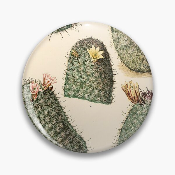 Item preview, The Cactaceae Vol. 4 1919 designed and sold by Gilmour-Prints.