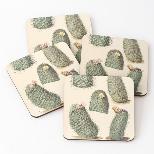 Item preview, The Cactaceae Vol. 4 1919 designed and sold by Gilmour-Prints.