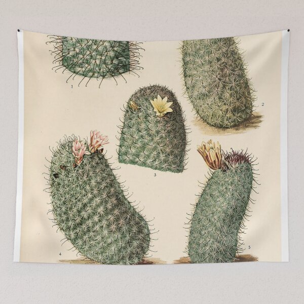 Item preview, The Cactaceae Vol. 4 1919 designed and sold by Gilmour-Prints.