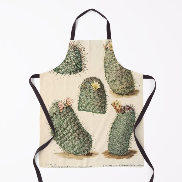 Item preview, The Cactaceae Vol. 4 1919 designed and sold by Gilmour-Prints.