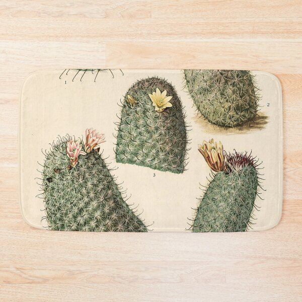 Item preview, The Cactaceae Vol. 4 1919 designed and sold by Gilmour-Prints.