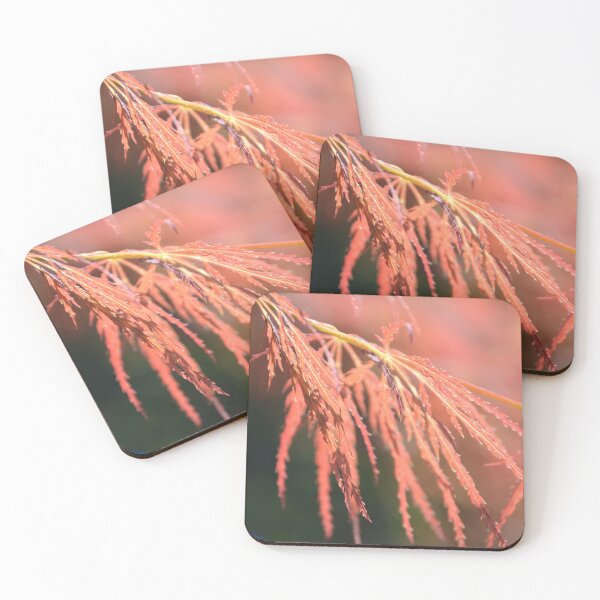 Item preview, Delicate Red Laceleaf Japanese Maple Foliage designed and sold by MiraNadaPrints.