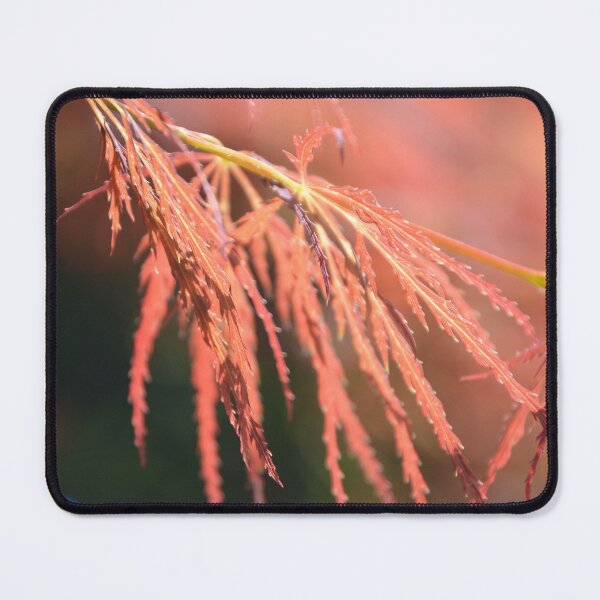 Item preview, Delicate Red Laceleaf Japanese Maple Foliage designed and sold by MiraNadaPrints.