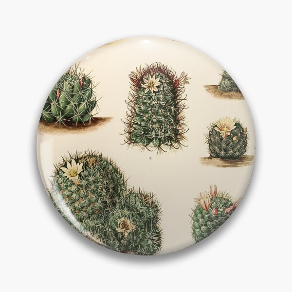 Item preview, The Cactaceae Vol. 4 1919 II designed and sold by Gilmour-Prints.