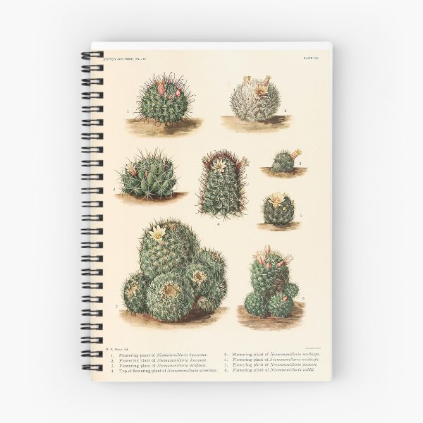 Item preview, The Cactaceae Vol. 4 1919 II designed and sold by Gilmour-Prints.