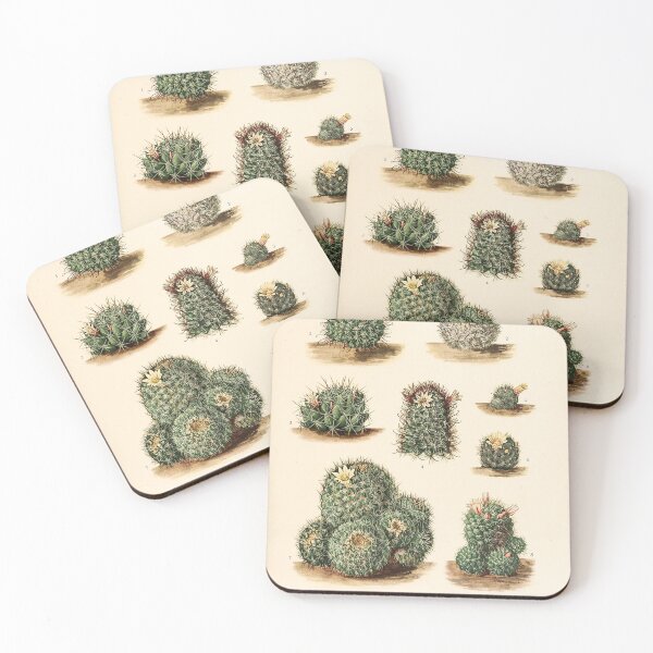 Item preview, The Cactaceae Vol. 4 1919 II designed and sold by Gilmour-Prints.
