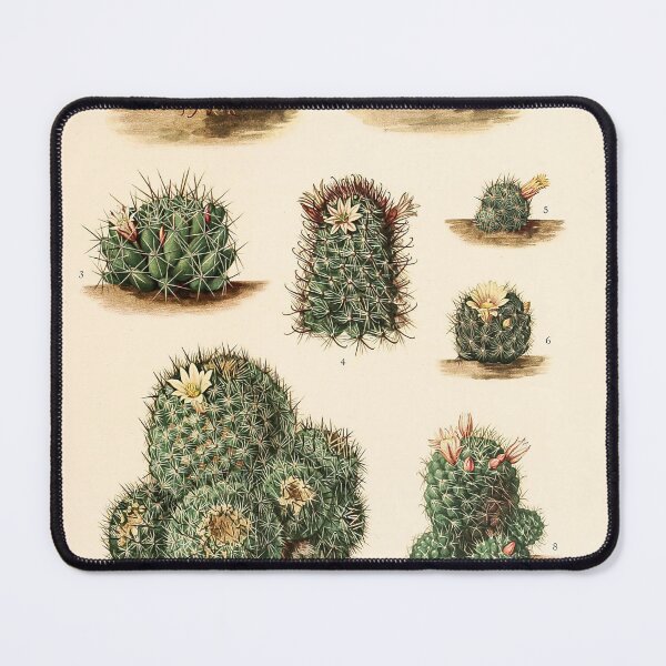 Item preview, The Cactaceae Vol. 4 1919 II designed and sold by Gilmour-Prints.